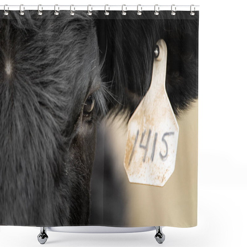 Personality  Black Angus Is The Most Common Breed Of Beef Cattle In The US Shower Curtains