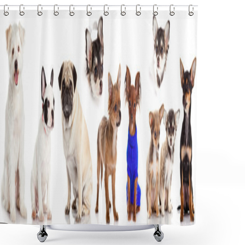 Personality  Group Of Dogs Shower Curtains