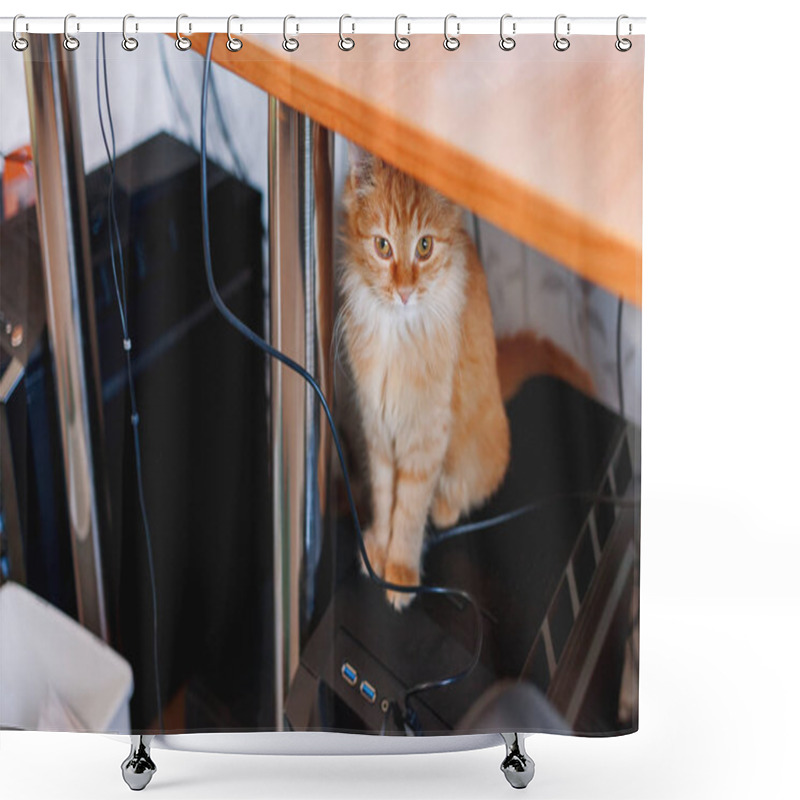 Personality  Cute Ginger Cat Sitting Under The Table, On Computer System Unit Shower Curtains