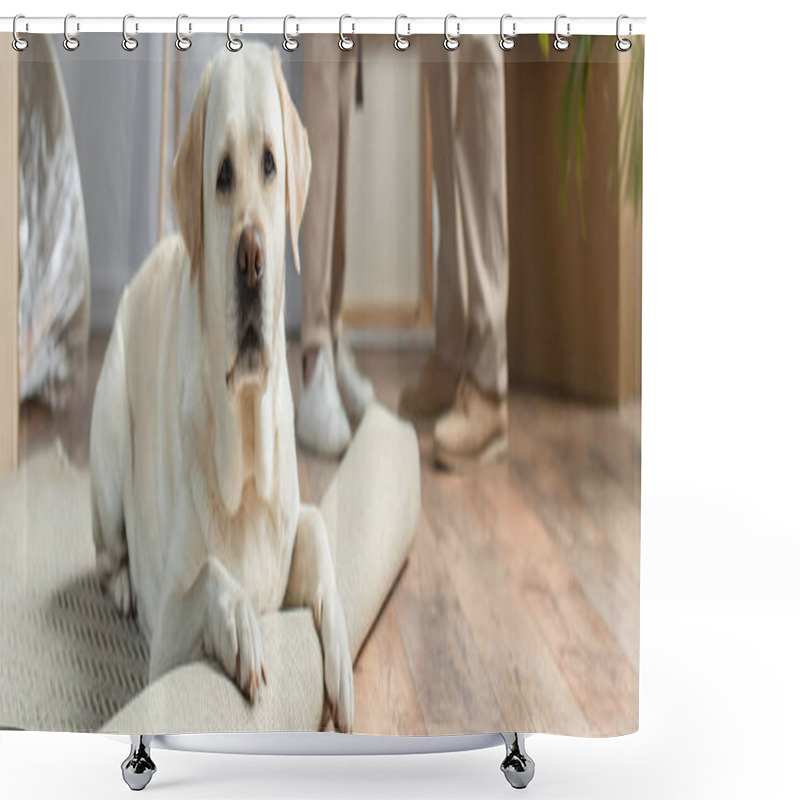 Personality  Cropped View Of Senior Couple Standing In New House And Labrador Dog Lying On Carpet On Foreground Shower Curtains