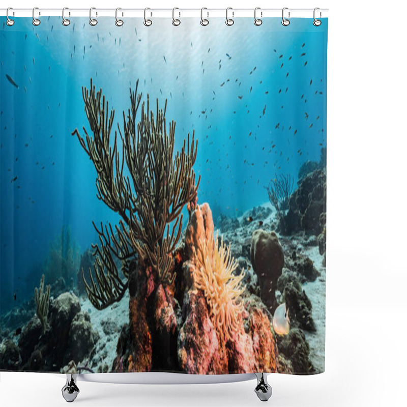 Personality  Seascape In Turquoise Water Of Coral Reef In Caribbean Sea / Curacao With Sea Anemone, Fish, Coral And Sponge Shower Curtains