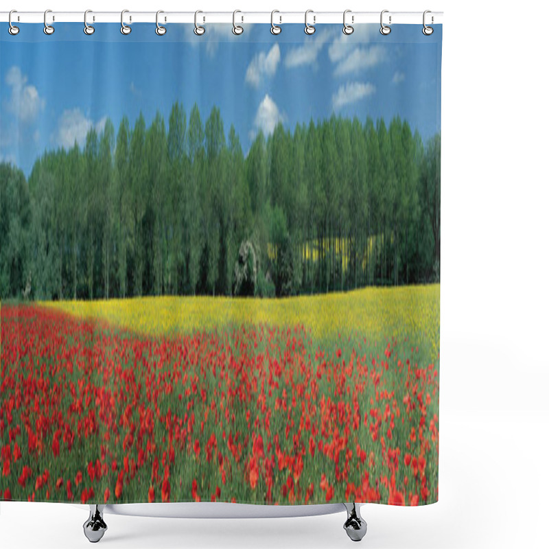 Personality  Panoramic Landscape With A Poppy And Oilseed Rape In A Colourful Field Shower Curtains