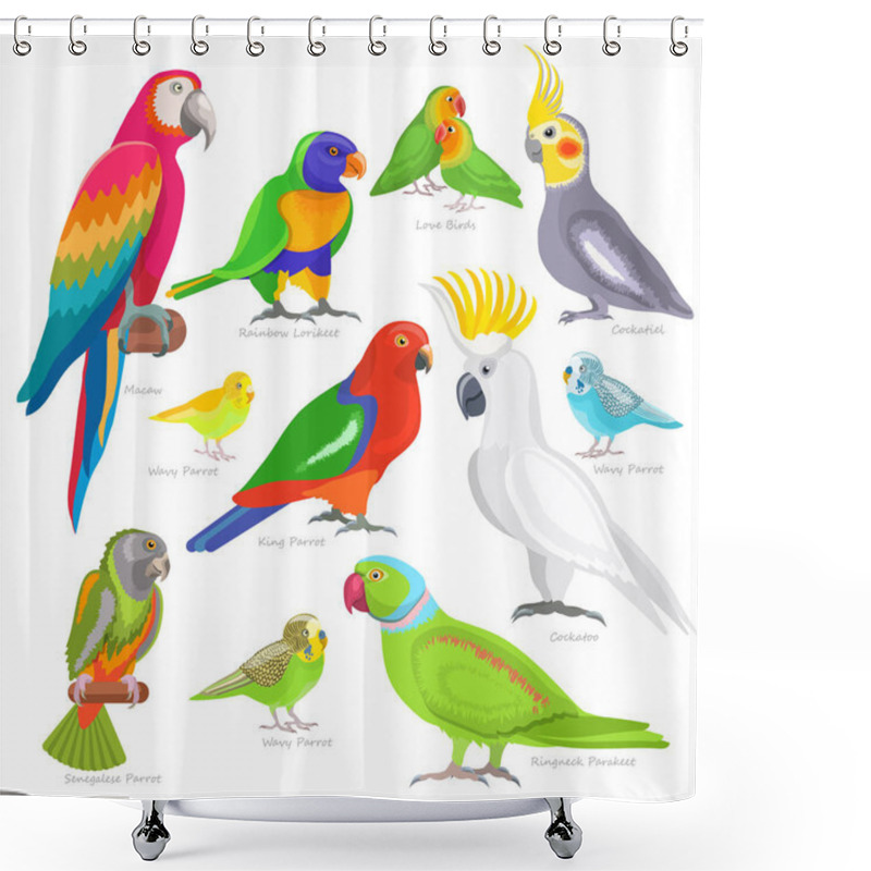 Personality  Parrot Vector Parrotry Character And Tropical Bird Or Cartoon Exotic Macaw In Tropics Illustration Set Of Colorful Birdie Isolated On White Background Shower Curtains