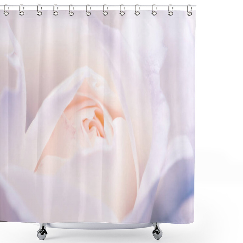 Personality  Macro Shot Of White Rose Bud Shower Curtains