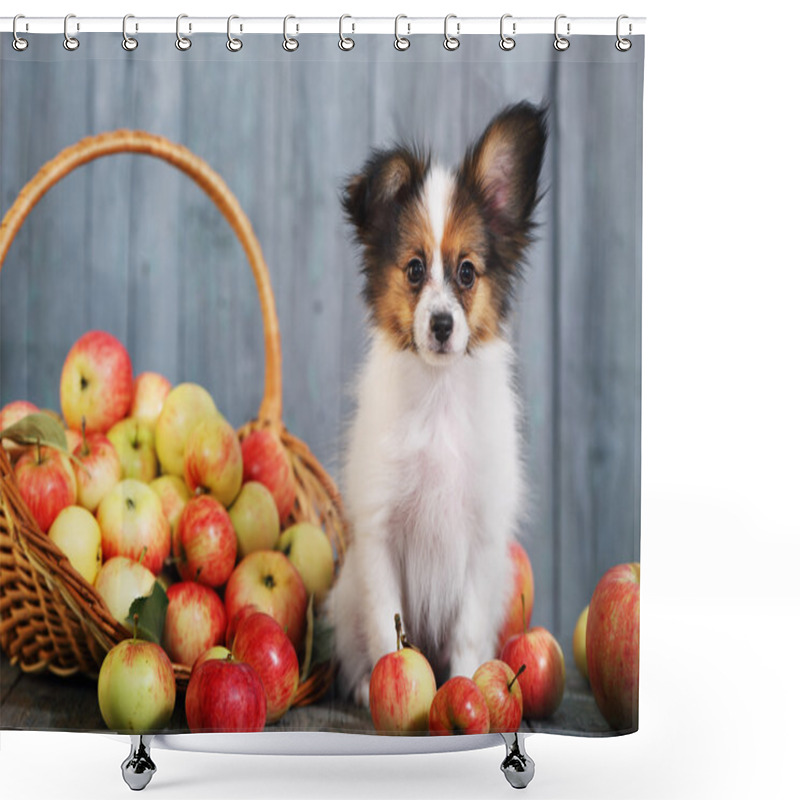 Personality  Doggie Sits Near The Basket Shower Curtains