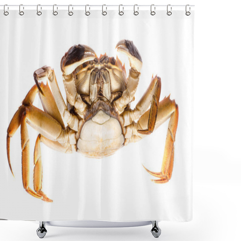 Personality  Red Crab Shower Curtains