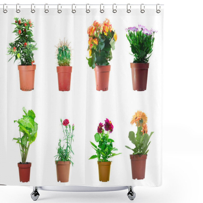 Personality  Potted Plants Shower Curtains