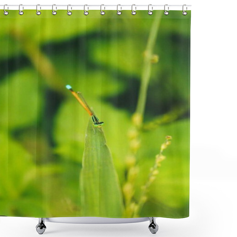 Personality  The Butterfly Has Flown Away And Is Now Resting Shower Curtains