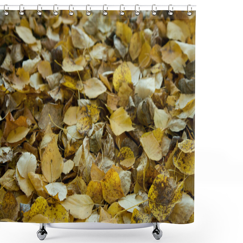 Personality  The Fallen Down Autumn Foliage Shower Curtains