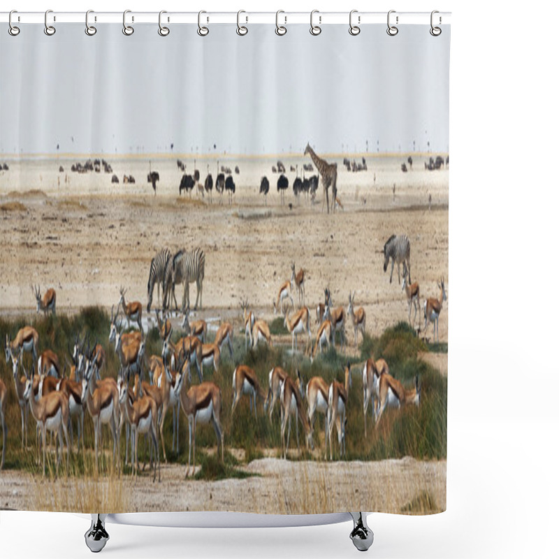 Personality  African Animals Close To A Waterhole Shower Curtains