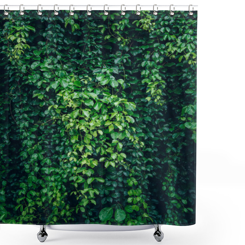 Personality  Creative Lush Green Leaves Pattern Nature Texture Background Shower Curtains