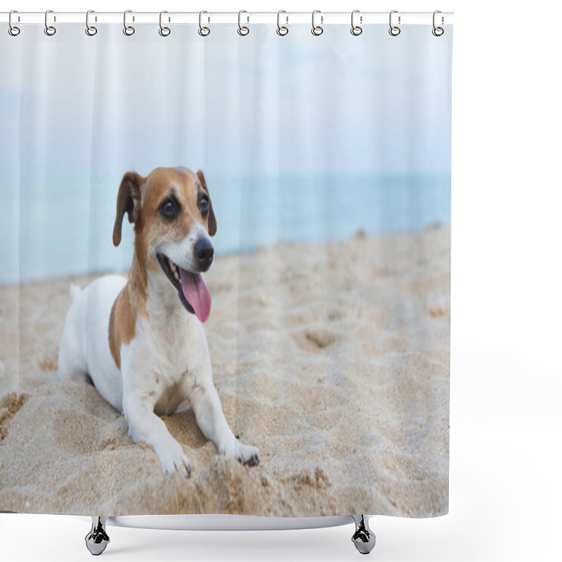 Personality  Small Relaxing Dog Shower Curtains