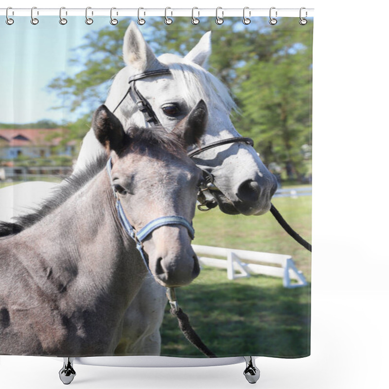 Personality  Young Mare And His Foal Show Off Their Skills On A Beautiful Summer Day, Equestrian Atmosphere Shower Curtains