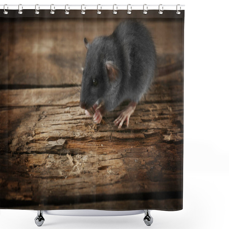 Personality  Cute Little Rat Shower Curtains