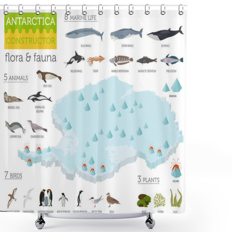 Personality  Isometric 3d Antarctica Flora And Fauna Map Elements. Animals, B Shower Curtains