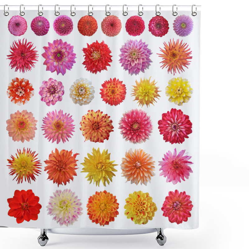 Personality  Dahlias Shower Curtains