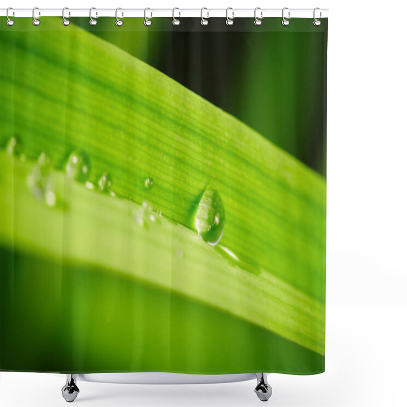 Personality  Green Grass Leaf With Water Drops  Shower Curtains