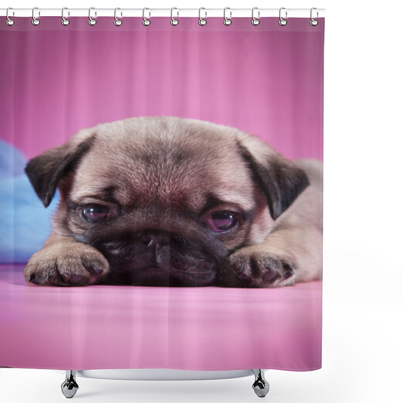 Personality  Pug Puppy Dog Shower Curtains