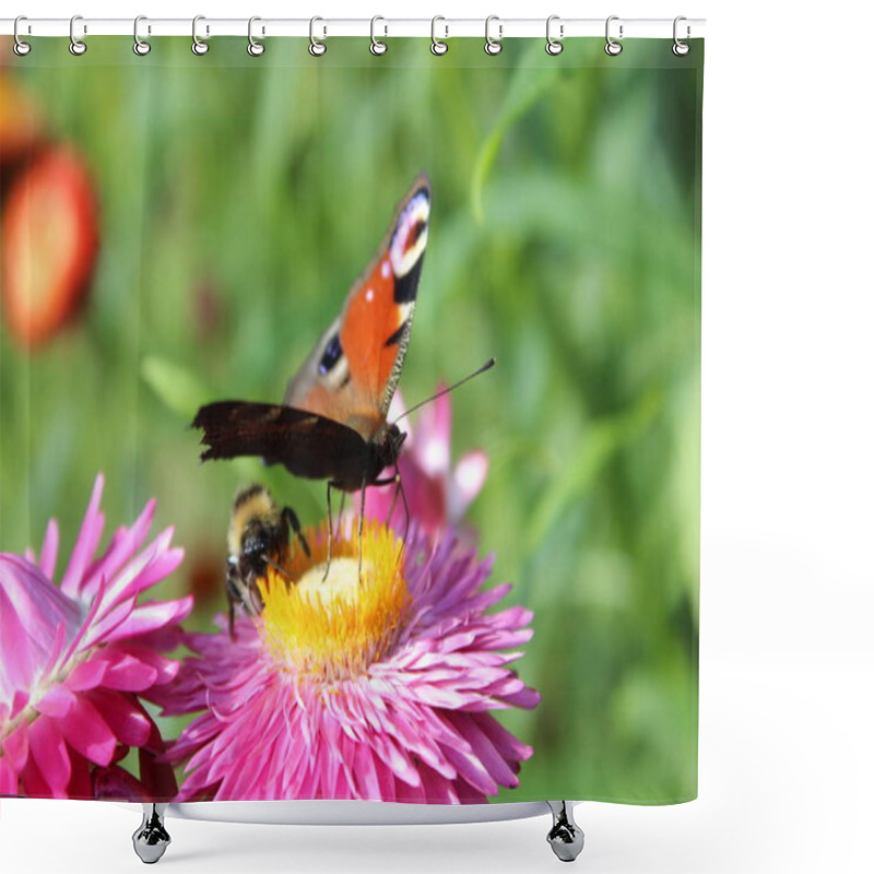 Personality  Morning Sky Nature Summer Shower Curtains