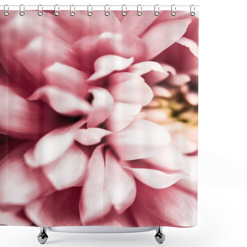 Personality  Pink Daisy Flower Petals In Bloom, Abstract Floral Blossom Art B Shower Curtains