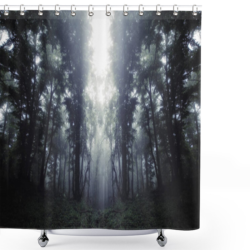 Personality  Dark Mysterious Surreal Forest Background Shower Curtains