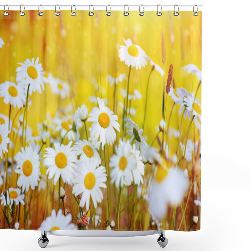 Personality  Summer Landscape With Beautiful Daisies In The Setting Sun Shower Curtains