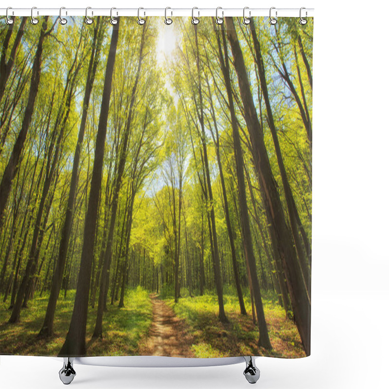 Personality  Morning Green Forest Shower Curtains