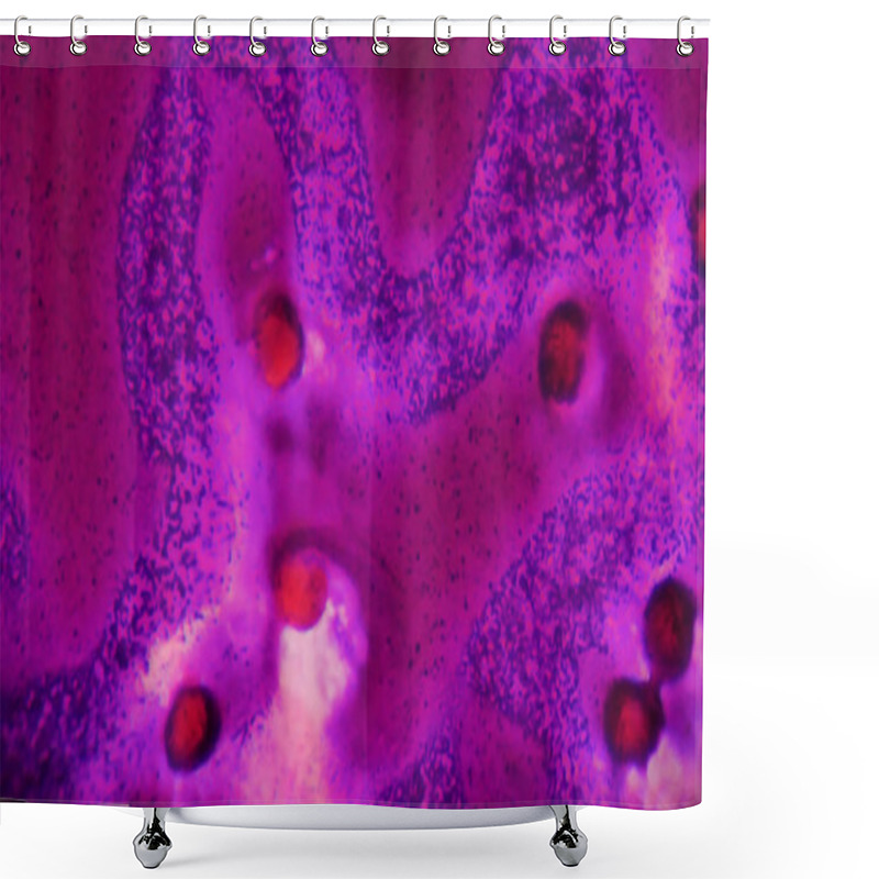 Personality  Abnormal Blood Cell Background. Shower Curtains