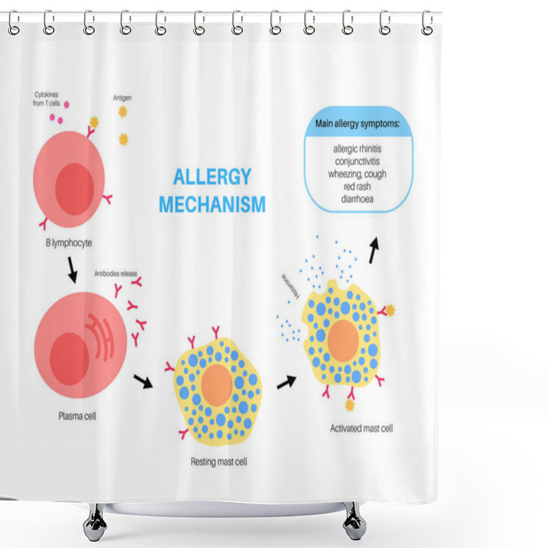 Personality  Allergy Mechanism Diagram Shower Curtains