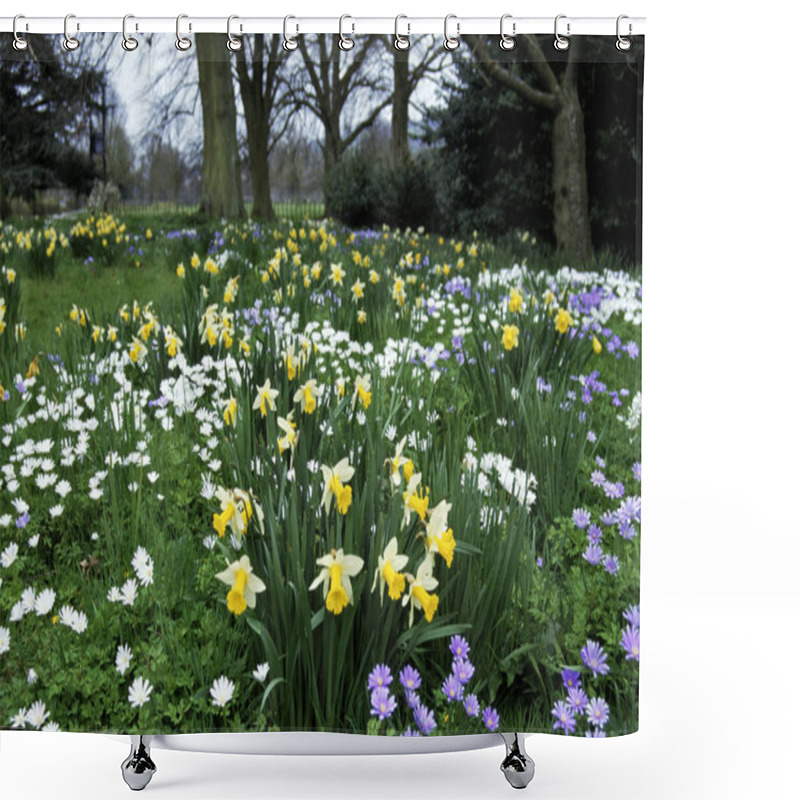 Personality  Spring In A Woodland Flower Garden With Daffodils Shower Curtains