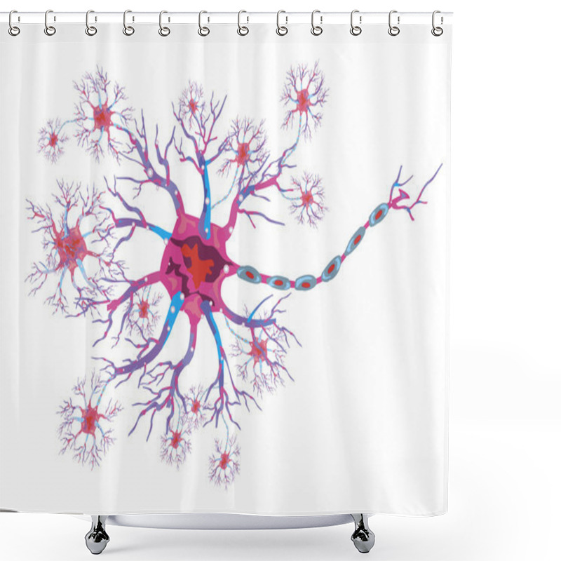 Personality  Schematic Illustration Of The Neuron Shower Curtains