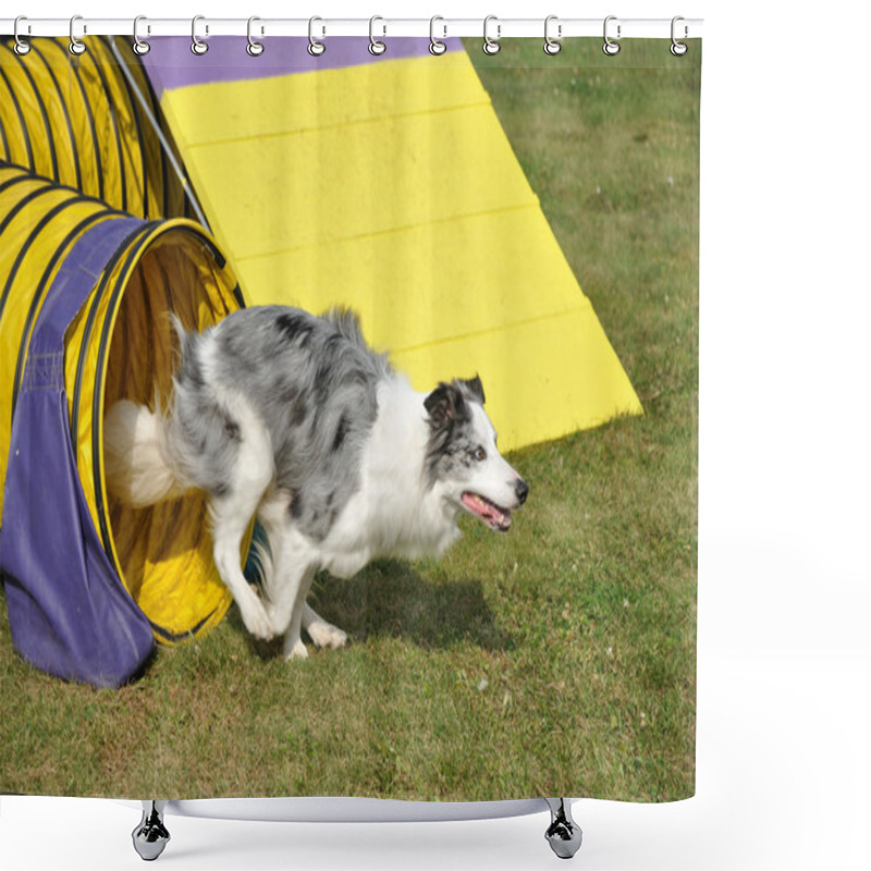 Personality  Australian Shepherd Shower Curtains