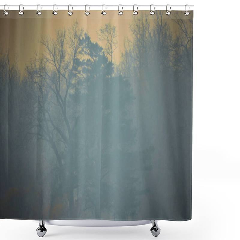 Personality  Very Dark Blurry Forest Landscape, Cold Early Spring, Morning Gloomy Light           Shower Curtains