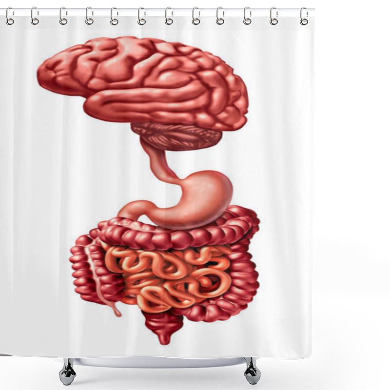 Personality  Brain Gut Connection Shower Curtains