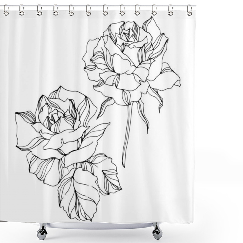 Personality  Vector Rose Floral Botanical Flowers. Engraved Ink Art. Isolated Roses Illustration Element. Shower Curtains