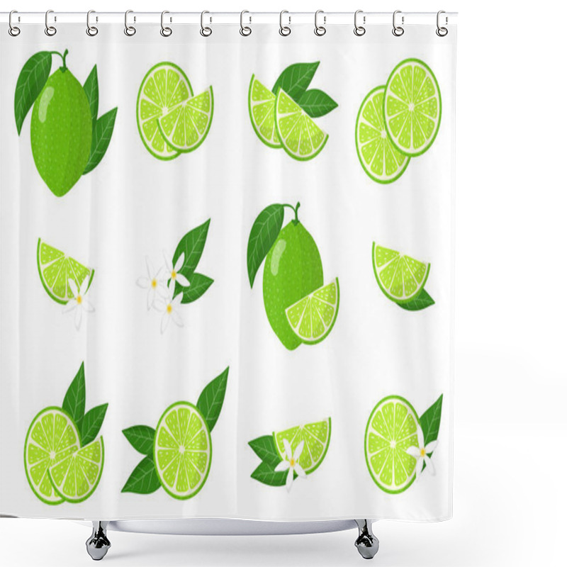 Personality  Set Of Illustrations With Lime Exotic Fruits, Flowers And Leaves Isolated On White Background. Isolated Vector Icons Set. Shower Curtains