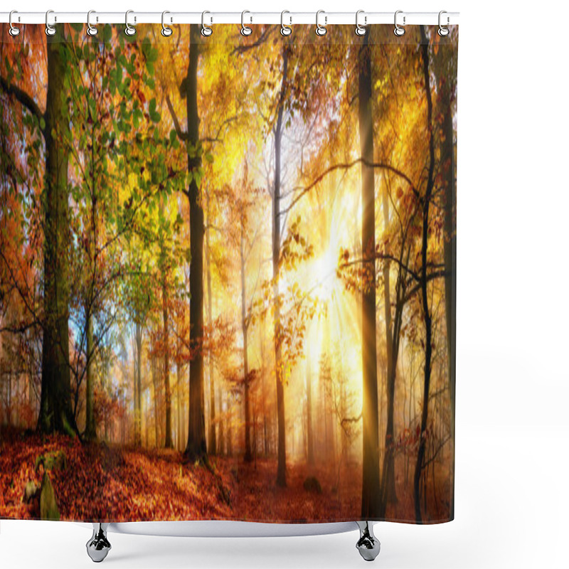 Personality  Gold Sunrays In A Misty Autumn Forest Shower Curtains