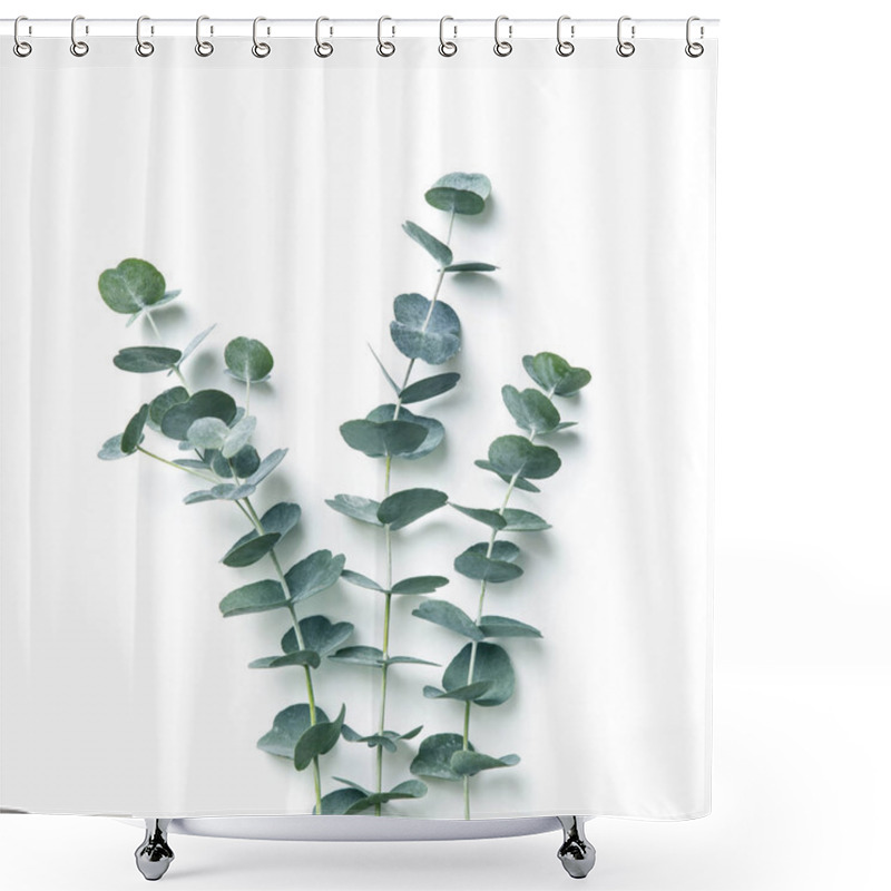 Personality  Eucalyptus Isolated On A White Background Shower Curtains