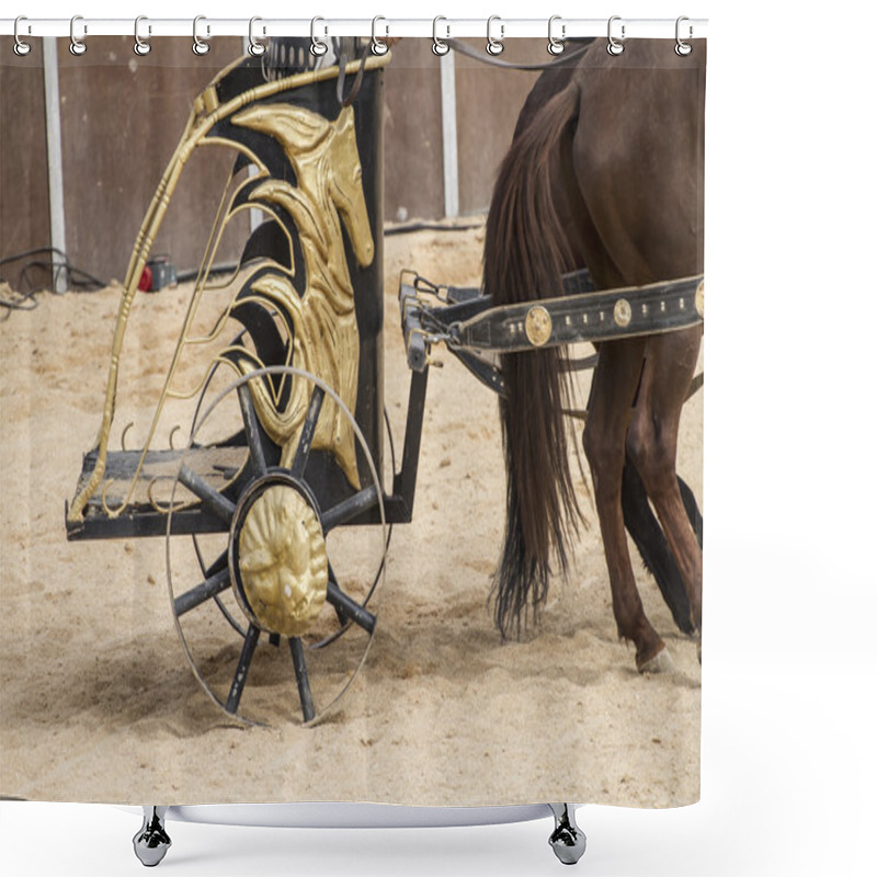 Personality  Roman Chariot In A Fight Of Gladiators Shower Curtains