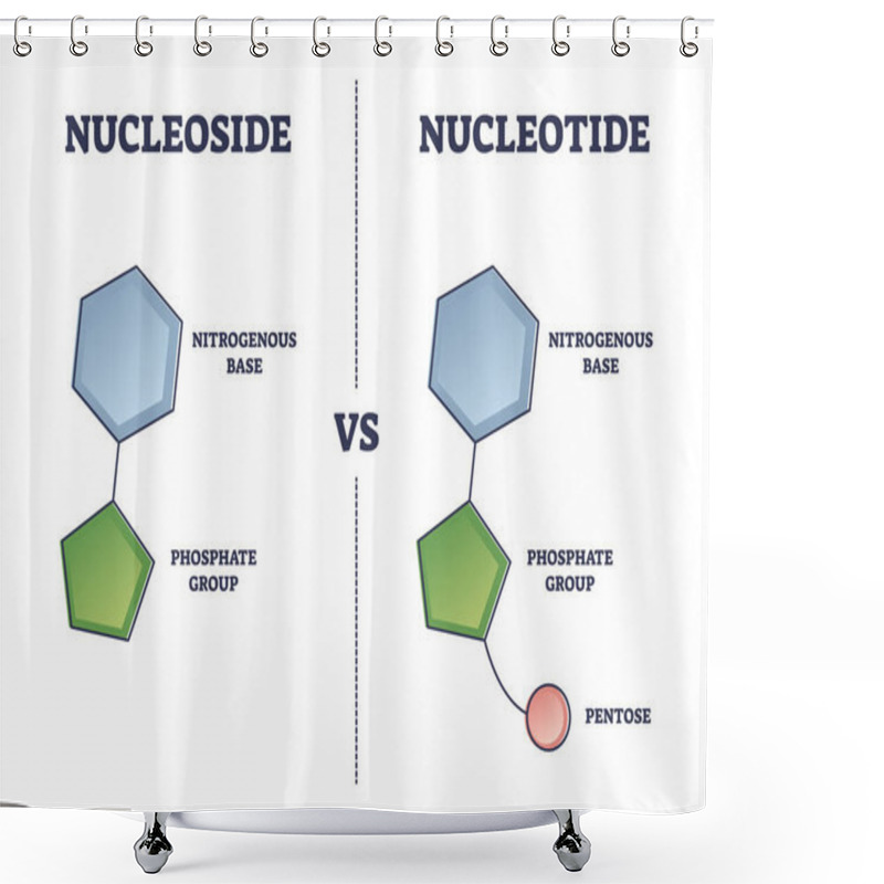 Personality  Nucleoside Vs Nucleotide Compound Differences Comparison Outline Diagram Shower Curtains