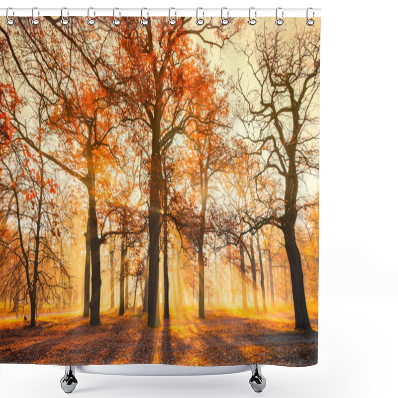 Personality  Golden Sun Rays In The Autumn Park In The Morning. Scenic Fall Weather Shower Curtains