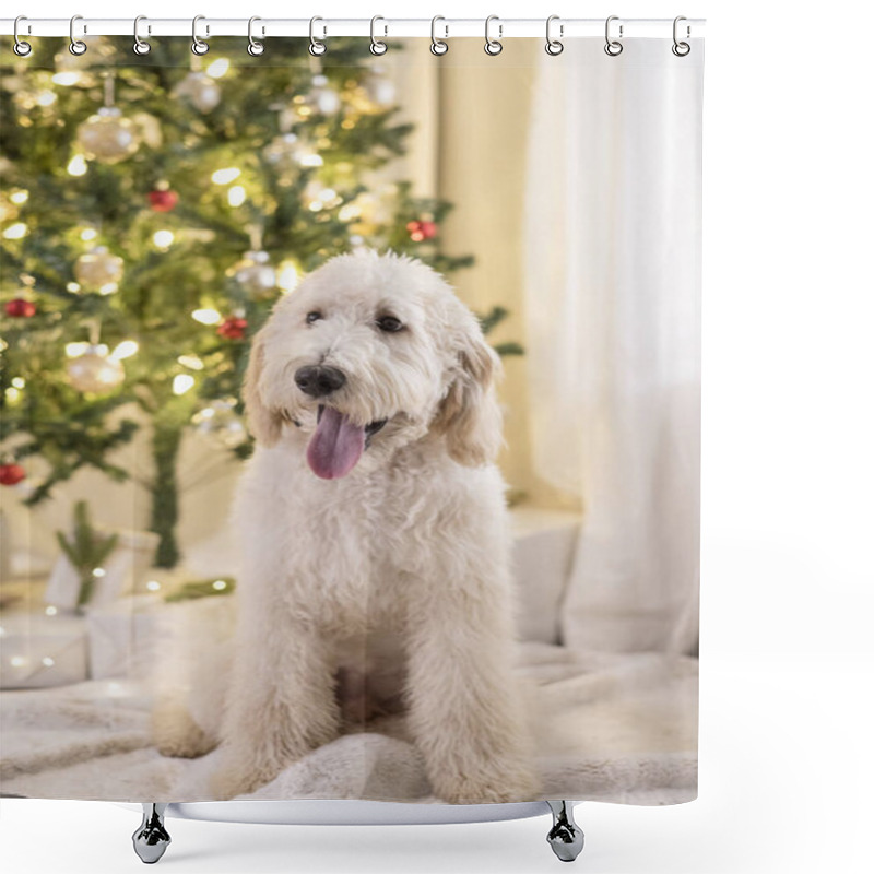 Personality  Happy Dog Sitting In Front Of Christmas Tree Shower Curtains