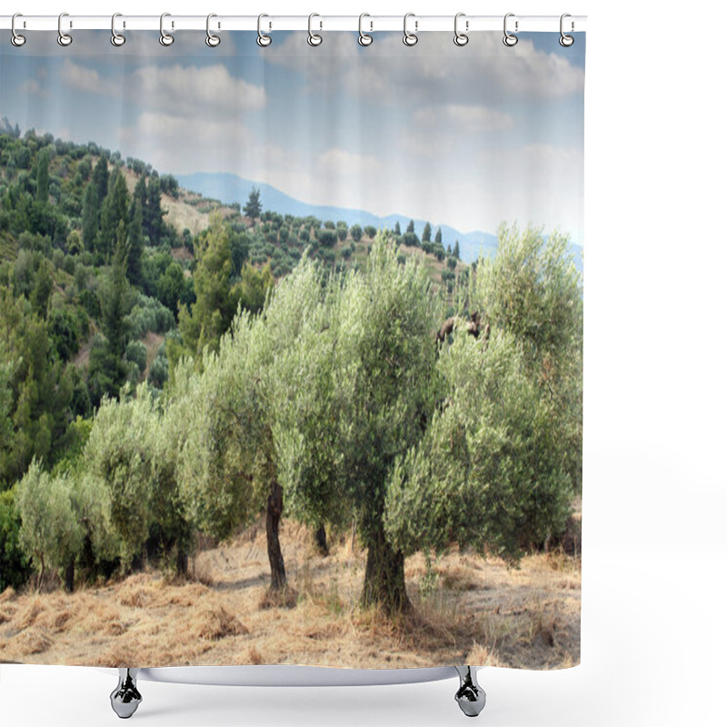 Personality  Olive Trees Hill Shower Curtains