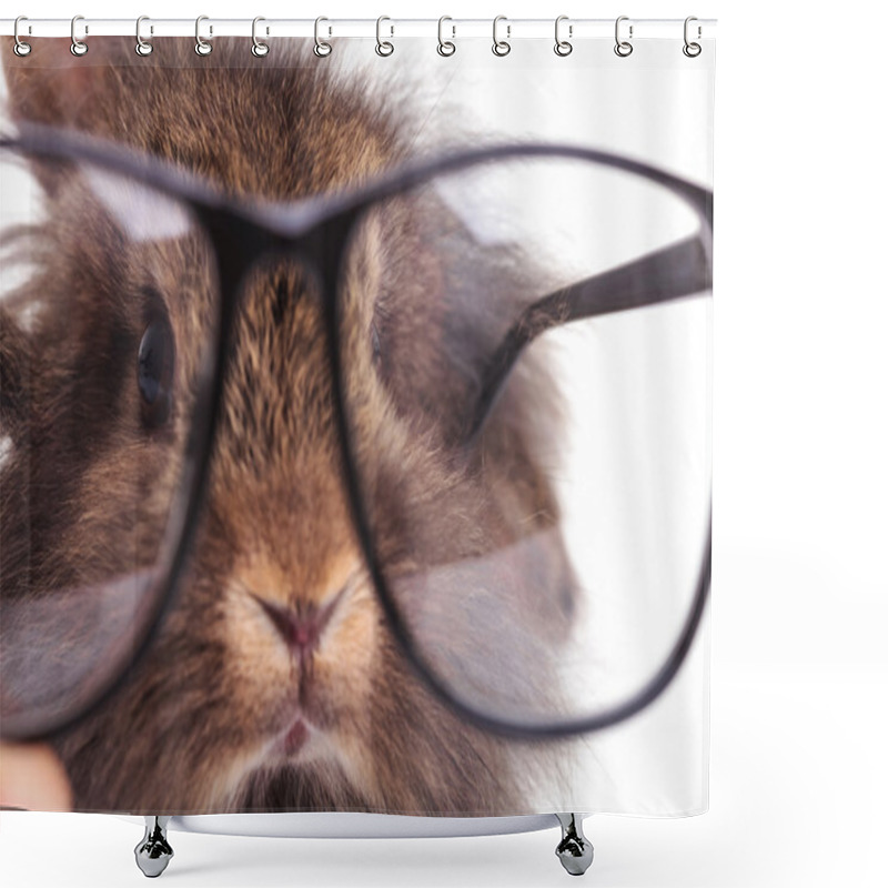 Personality  Lion Head Rabbit Bunny Wearing Glasses. Shower Curtains