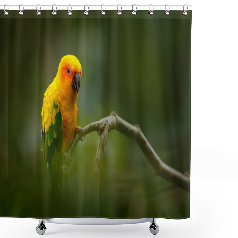 Personality  Rare Parrot On Branch Shower Curtains