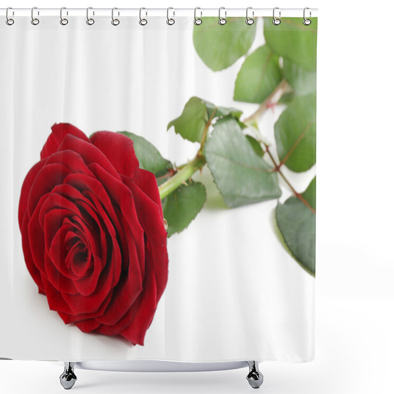 Personality  Beautiful Red Rose Shower Curtains