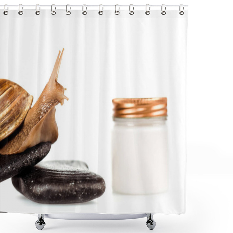 Personality  Close Up View Of Brown Snail On Spa Stones Near Cosmetic Cream Container Isolated On White Shower Curtains