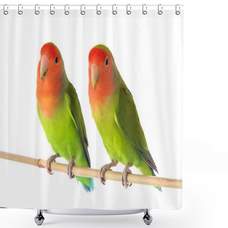 Personality  Lovebird On A White Shower Curtains