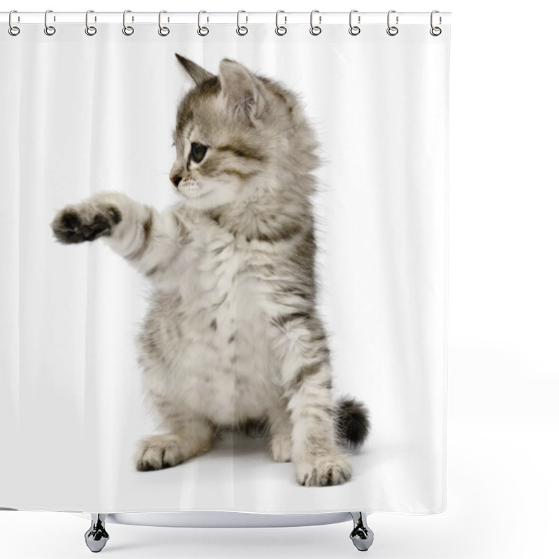 Personality  Kitten Shower Curtains