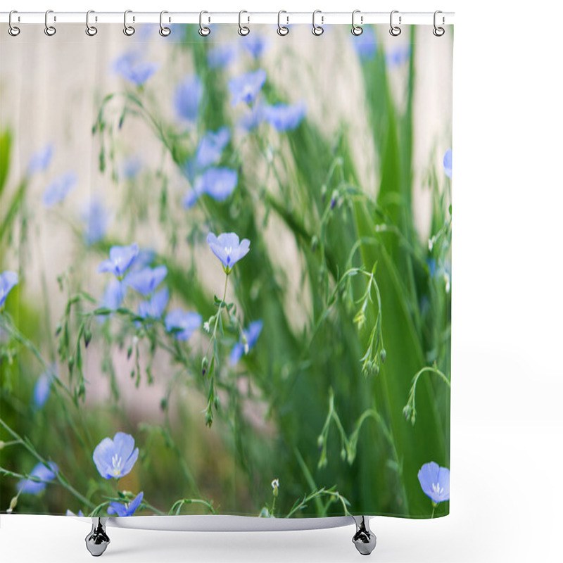 Personality  Background Of Blooming Blue Flax In A Farm Field Shower Curtains